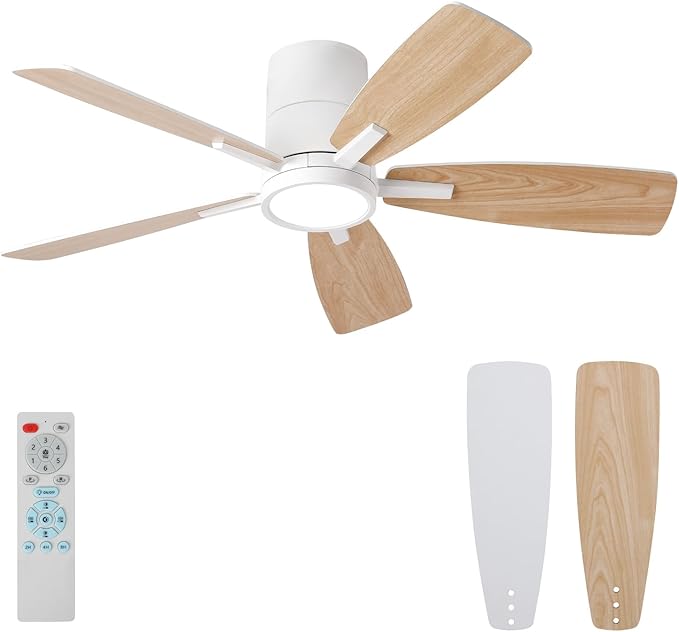 Ceiling Fans & Accessories