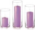 yummi Set of 12 Slim Pillars and Cylinder Vases - Violet