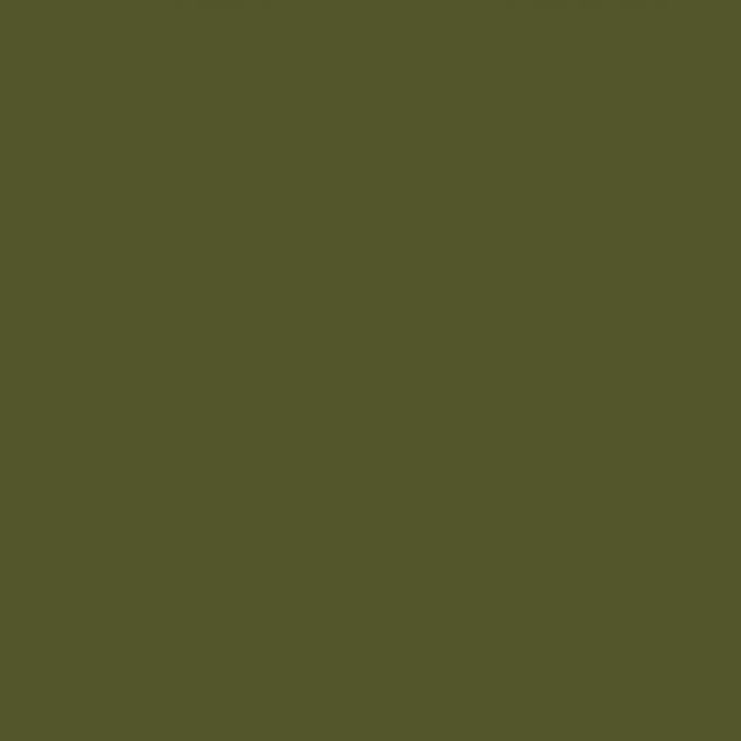 tag Color Studio Votive Candles Set of 12 Olive Green Smokeless Paraffin Wax Burn Time 5 Hrs. Votive Olive Green