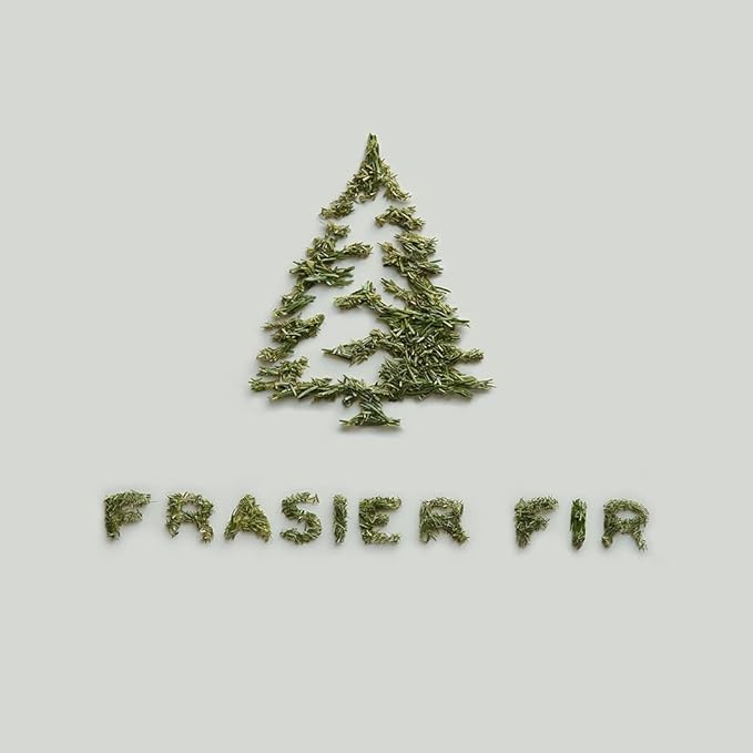 Thymes Frasier Fir Pine Needle Candle Set – Scented Candles with Notes of Crisp Siberian Fir, Cedarwood and Sandalwood - Seasonal Home Decor - Luxury Home Fragrance (Set of 2, 3.75 oz Each)