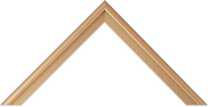 Frame My Mirror Gold Metal Framed Mirror, 30" x 40" Champagne Bronze Mirror for Bathroom, Metal Frame, True Reflections Glass, Stanton Design, Hangs Horizontally or Vertically, Made in USA
