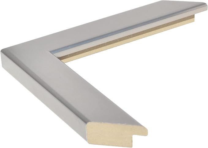 Frame My Mirror Silver Bathroom Mirror for Wall, 20" x 24" Brushed Chrome Bathroom Vanity Mirror, Made in USA, Hangs Horizontally or Vertically, Ellis Design