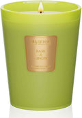 M&SENSE Basil Ginger Scented Natural Soy Wax Candle, 14.1oz 60 Hours Long Lasting Slow Burning Candles for Home Decor, Aromatherapy Candle for Stress Relief