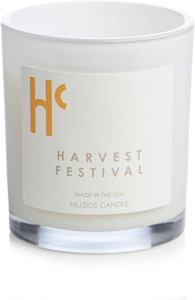 Long-Lasting Harvest Festival Fragrance - Single Wick Scented Candles - Up to 60 Hour Burn Time, Cruelty-Free Soy Candle Wax Blend - Pumpkin Fragrance, Notes of Amber & Orange (9 oz)