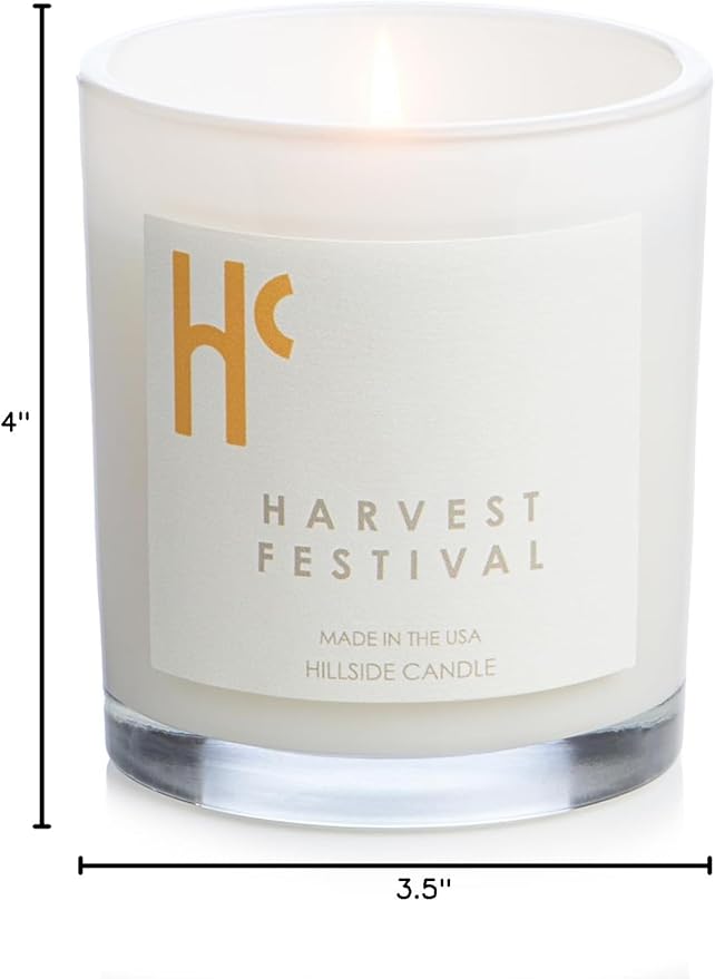 Long-Lasting Harvest Festival Fragrance - Single Wick Scented Candles - Up to 60 Hour Burn Time, Cruelty-Free Soy Candle Wax Blend - Pumpkin Fragrance, Notes of Amber & Orange (9 oz)