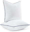 MIULEE 24x24 Euro Pillow Inserts, Fluffy Down Alternative Filling Pack of 2 Ultra Soft Throw Pillows for Bed Sofa Couch