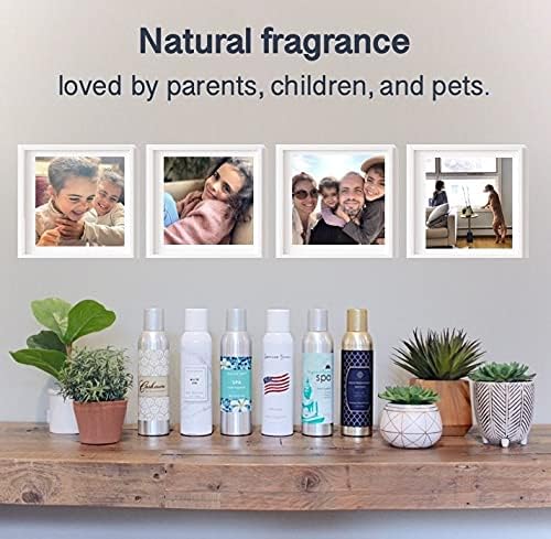 Room Fragrance Air Freshener Spray Concentrated Bathroom, Kitchen, Car, or Office Deodorizer, U.S.- Made by AP Fragrance (Bachelor)