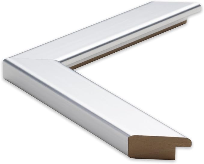 Frame My Mirror Silver Bathroom Mirror for Wall, 20" x 24" Brushed Chrome Bathroom Vanity Mirror, Made in USA, Hangs Horizontally or Vertically, Ellis Design
