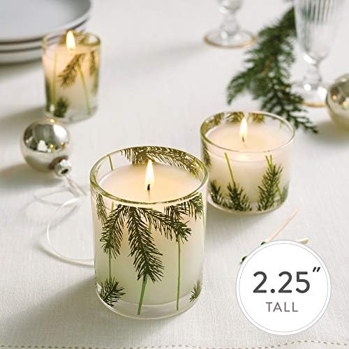 Thymes Frasier Fir Pine Needle Candle Set – Scented Candles with Notes of Crisp Siberian Fir, Cedarwood and Sandalwood - Seasonal Home Decor - Luxury Home Fragrance (Set of 2, 3.75 oz Each)
