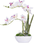 Large Artificial Potted Orchid Plant, Silk Flower Arrangement with Ceramics Vase, White