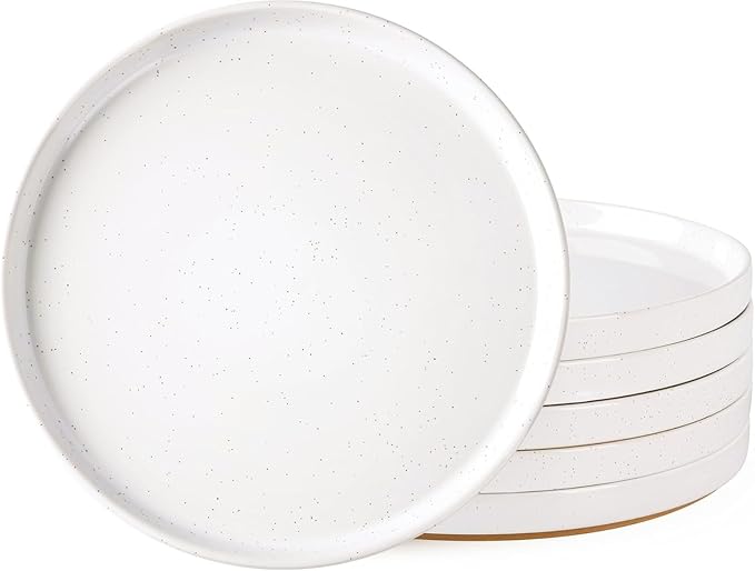 AmorArc Ceramic Dinner Plates Set of 6, 10.25 Inch Stoneware Plates for Kitchen,Modern Flat Dinnerware Dishes Set,Microwave& Dishwasher Safe, Scratch Resistant-White