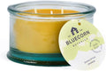 Bluecorn Beeswax 3-Wick Candle, 100% Pure Bees Wax, Eucalyptus & Orange Essential Oils Candle Wax, Soy Free, Clean Burning, Long Lasting, Gifts for Women & Men, Christmas Gifts, American Made, 10 Oz