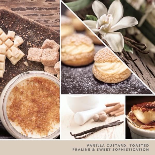 Yankee Candle Small Tumbler Scented Single Wick Jar Candle, Vanilla Creme Brulee, Over 20 Hours of Burn Time, 4.3 Ounce (Pack of 2)