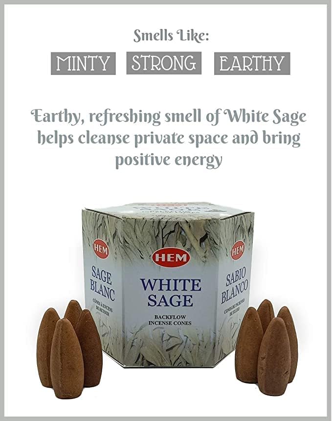 Hem White Sage Incense Cones - (40 Backflow Incense Cones) - Earthy Sage Inscents-Cones Waterfall | Thick Cloudy Incense Fountain Waterfall, Gift These Hem Incense Cones