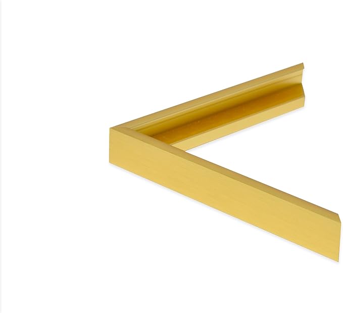 Frame My Mirror Gold Metal Framed Mirror, 20" x 24" Mirror for Bathroom, Metal Frame, True Reflections Glass, Gold Finish, Stanton Design, Hangs Horizontally or Vertically, Made in USA