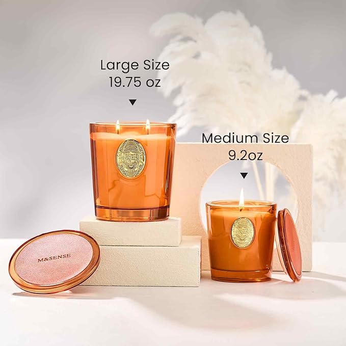 M&SENSE Large Two-Wick Soy Candle | Orange Goji & Neon Orange | 19.8 oz, 120H Burn Time | Luxury Scented Candle for Relaxation, Gifting, Home Décor | Ideal for Bedroom, Office, Party Ambiance