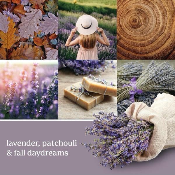 Yankee Candle Small Tumbler Scented Single Wick Jar Candle, Dried Lavender & Oak, Over 20 Hours of Burn Time, 4.3 Ounce (Pack of 4)
