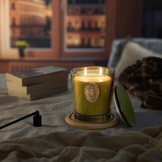 M&SENSE Large Two-Wick Soy Candle | Forest Cabin & Green | 19.8 oz, 120H Burn Time | Luxury Scented Candle for Relaxation, Gifting, Home Décor | Ideal for Bedroom, Office, Party Ambiance