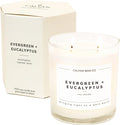Calyan Wax Co. 2 Wick Candle, Evergreen + Eucalyptus Scented Candle, 37 Hour Burn Time, Aromatherapy Soy Candles, Non Toxic & Vegan Soy Wax, Glass Tumbler Scented Candles, 12.5oz