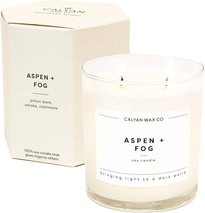 Calyan Wax Co. 2 Wick Candle, Aspen + Fog Scented Candle, 37 Hour Burn Time, Aromatherapy Soy Candles, Non Toxic & Vegan Soy Wax, Glass Tumbler Scented Candles, 8.8oz