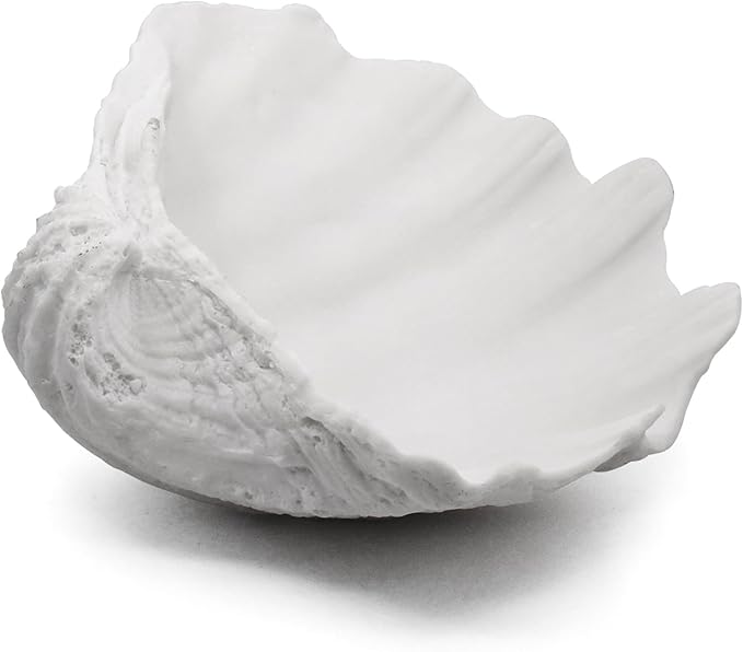 Accessoryway Extra Large Clam Shells Decorative Bowl-White Sea Shells Decorative Storage Bowls for Coastal Beach theme house table centerpiece decorations & Nautical decor for coffee table-12.4"-1PC