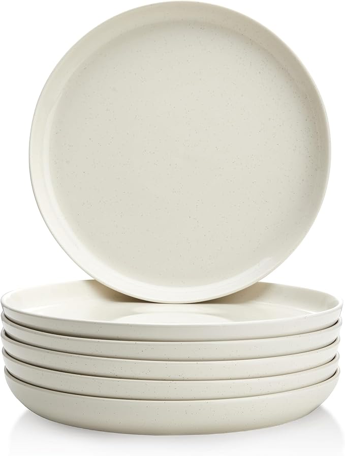 Sweese Porcelain Dinner Plates Set, 10 Inch, Round Salad Plates, Dove Gray - Dishwasher, Microwave Oven Safe