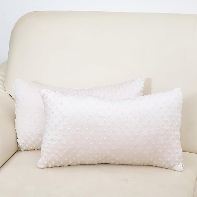 2 Packs Throw Pillow Covers, Neutral Decorative Couch Pillow Cover for Living Room Bed Sofa Rustic Farmhouse Boho Home Decor, Soft Plush Cushion Case Slipcover (Beige, 12"x 20")