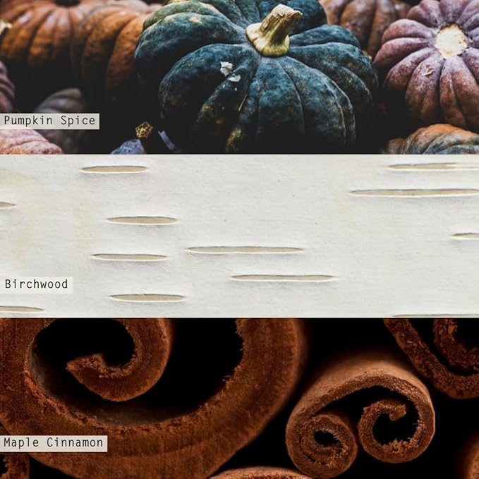 ILLUME Noble Holiday Collection Midnight Pumpkin Vanity Tin Candle, 11.8 oz