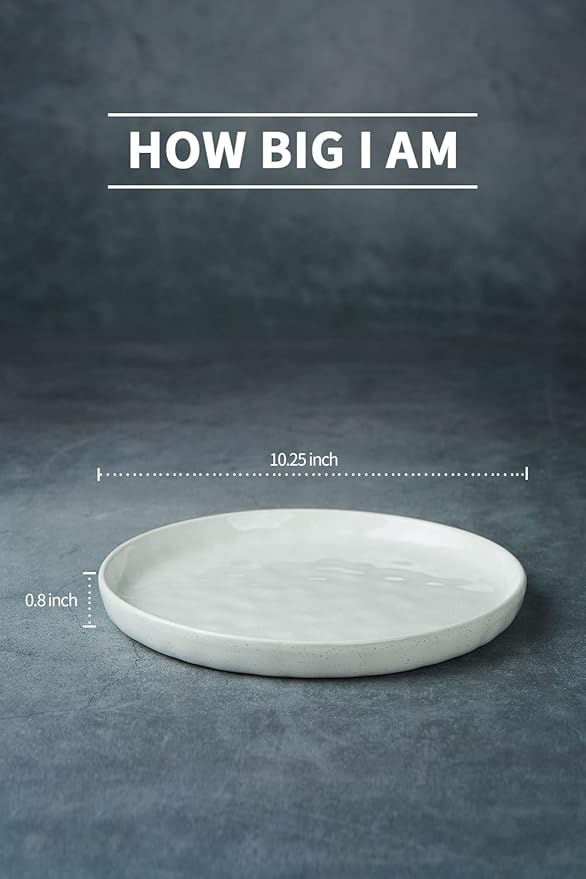 famiware Mars 6 Pieces Dinner Plates, 10.25 inch Plate Set, Scratch Resistant, Stoneware Dinnerware, Kitchen Modern Rustic Serving Dishes, White