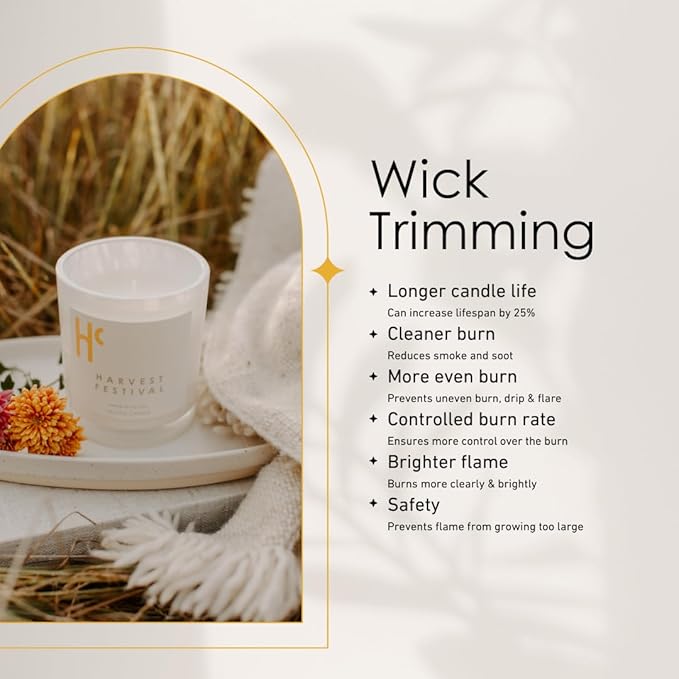 Long-Lasting Harvest Festival Fragrance - Single Wick Scented Candles - Up to 60 Hour Burn Time, Cruelty-Free Soy Candle Wax Blend - Pumpkin Fragrance, Notes of Amber & Orange (9 oz)