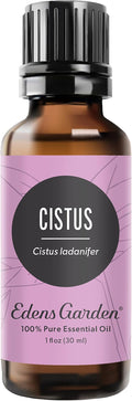 Edens Garden Cistus Essential Oil, 100% Pure Therapeutic Grade (Undiluted Natural/Homeopathic Aromatherapy Scented Essential Oil Singles) 30 ml