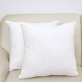2 Packs Throw Pillow Covers, Neutral Decorative Couch Pillow Cover for Living Room Bed Sofa Rustic Farmhouse Boho Home Decor, Soft Plush Cushion Case Slipcover (White, 20"x 20")