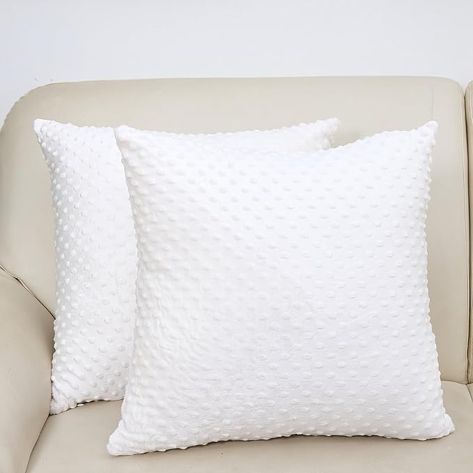 2 Packs Throw Pillow Covers, Neutral Decorative Couch Pillow Cover for Living Room Bed Sofa Rustic Farmhouse Boho Home Decor, Soft Plush Cushion Case Slipcover (White, 20"x 20")