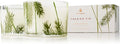 Thymes Frasier Fir Pine Needle Candle Set – Scented Candles with Notes of Crisp Siberian Fir, Cedarwood and Sandalwood - Seasonal Home Decor - Luxury Home Fragrance (Set of 2, 3.75 oz Each)