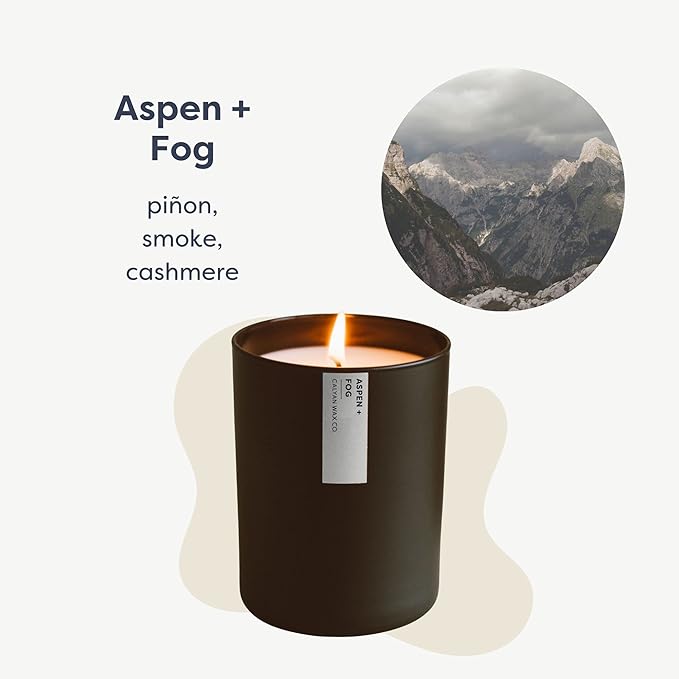 Calyan Wax Co. Candle, Aspen + Fog Scented Candle, 75 Hour Burn Time, Aromatherapy Soy Candles, Non Toxic & Vegan Soy Wax, Black Tumbler Scented Candles, 10.2oz