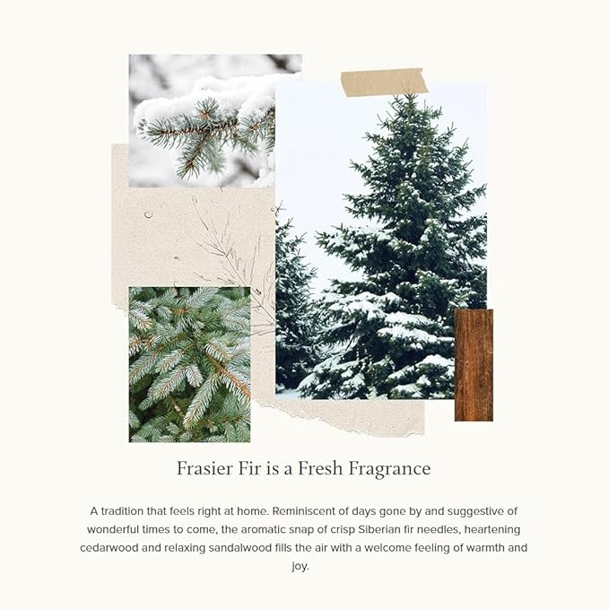Thymes Frasier Fir Candle - Heritage Pine Needle Luminary Scented Candles - Elegant Pine Candle - Crisp Siberian Fir, Cedarwood & Sandalwood - Holiday Candles - Christmas Decor (Small, 7.5 oz)