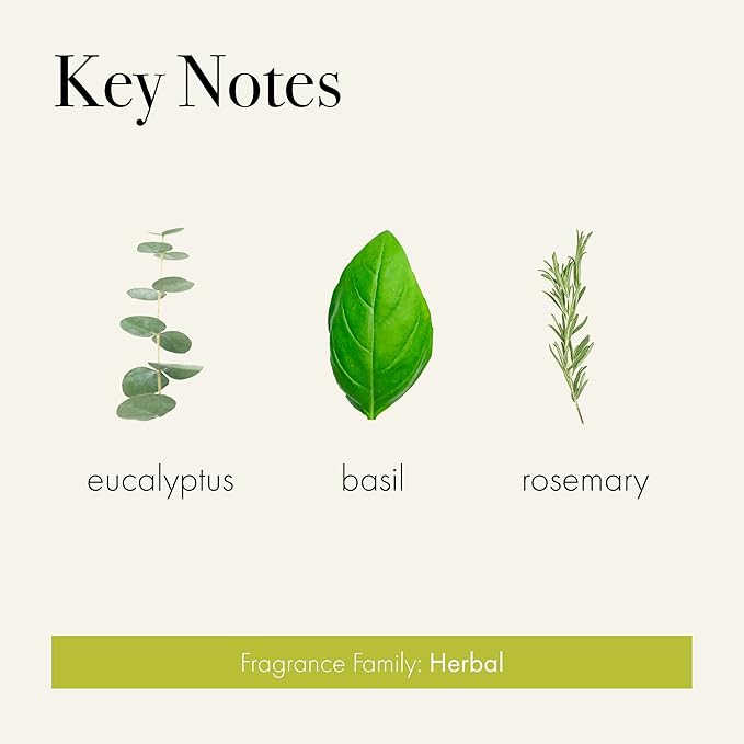 LAFCO New York Classic Reed Diffuser, Rosemary Eucalyptus - 6 oz - Up to 3 Months Fragrance Life - Reusable Glass Vessel - Natural Wood Reeds - Made in The USA