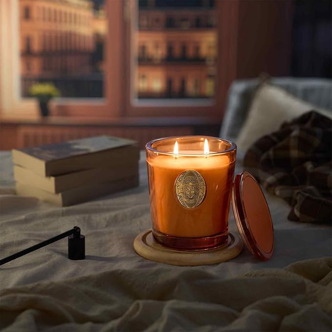 M&SENSE Large Two-Wick Soy Candle | Orange Goji & Neon Orange | 19.8 oz, 120H Burn Time | Luxury Scented Candle for Relaxation, Gifting, Home Décor | Ideal for Bedroom, Office, Party Ambiance
