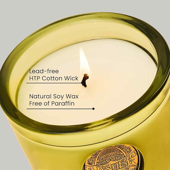 M&SENSE Natural Soy Candle | Seattle Rainforest & Matcha Green | 9.2 oz, 50H Burn Time | Luxury Scented Candle for Relaxation, Gifting, Home Décor | Ideal for Bedroom, Office, Party Ambiance
