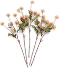 Laelfe Fall Flowers Artificial Pompon Mum, 5Pcs Fake Kiku Flowers Silk Small Mini Chrysanthemum Ball Faux Mum Decor for Autumn Filler DIY Bouquet Centerpieces Arrangements Shower(Beige)