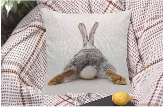 WONDERTIFY Throw Pillow Case Cover Grey Rabbit Isolated on A White Background Bunny Tail Back - Soft Linen Pillow Case for Decorative Bedroom/Livingroom/Sofa/Farm House - Cushion Covers 18x18 Inch