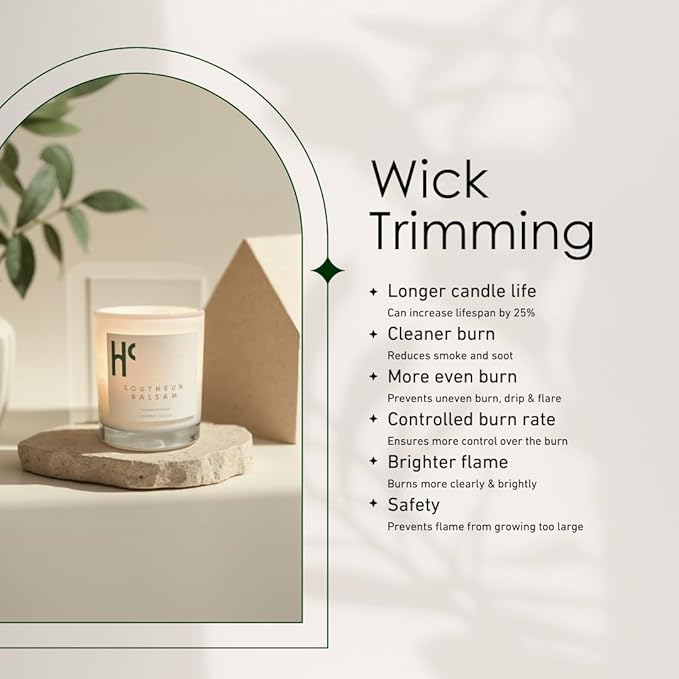 Southern Balsam Single Wick Soy Candles, Luxury Scented Candles for Home - Up to 60 Hour Burn Time, Cruelty-Free Soy Wax Blend - Cedarwood Fragrance, Notes of Eucalyptus & Amber (9 oz)
