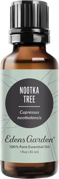Edens Garden Nootka Tree Essential Oil- 100% Pure Premium Grade, Undiluted, Natural, Therapeutic, Aromatherapy, The Best for Diffuser, Skin, Candle, Laundry 30 ml (1 fl oz)