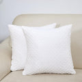 2 Packs Throw Pillow Covers, Neutral Decorative Couch Pillow Cover for Living Room Bed Sofa Rustic Farmhouse Boho Home Decor, Soft Plush Cushion Case Slipcover (White, 18"x 18")