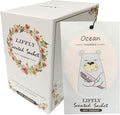 14 Packs Ocean Scented Sachets Bag for Drawer and Closet Xmas Gift 15 Scents Optional