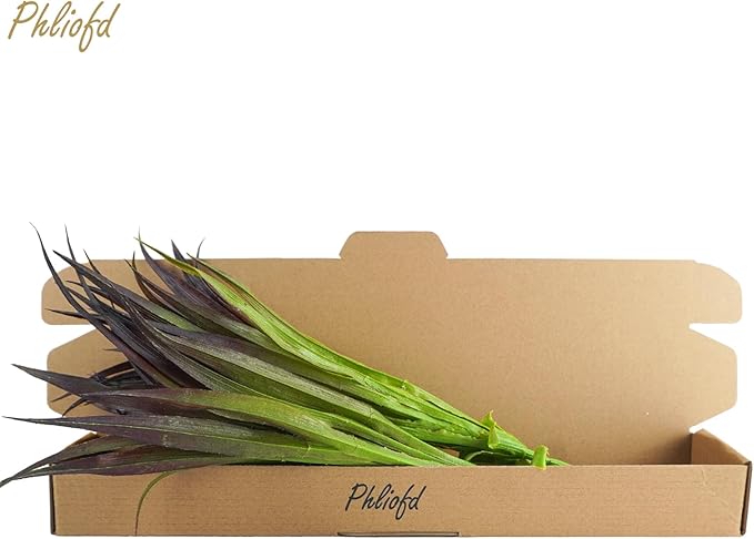 6Pcs Artificial Grass Fake Grass Plants 17.3in Outdoor Plants UV Resistant Faux Greenery Stems for Home Window Garden Office Patio Pathway Front Porch Halloween Décor Light Green & Purple