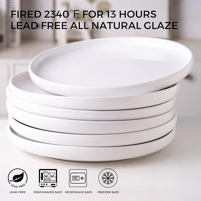 AmorArc Ceramic Dinner Plates Set of 6,10.5 inch Large Stoneware plates for Kitchen,Dinnerware Dishes set- Microwave,Dishwasher Safe,Scratch Resistant-White
