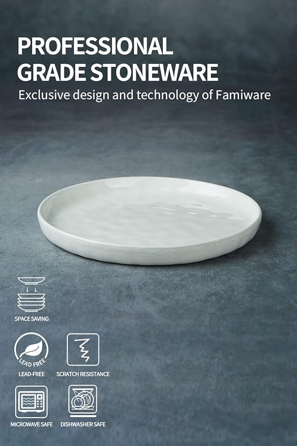 famiware Mars 6 Pieces Dinner Plates, 10.25 inch Plate Set, Scratch Resistant, Stoneware Dinnerware, Kitchen Modern Rustic Serving Dishes, White