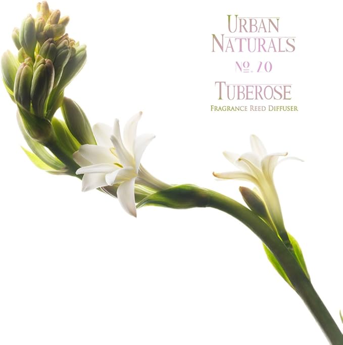 Urban Naturals Tuberose Fragrance Oil Reed Diffuser | Exotic Tuberose and Fragrant Orange Blossom | Floral Room Freshener with Reeds | Vegan. Made in The USA