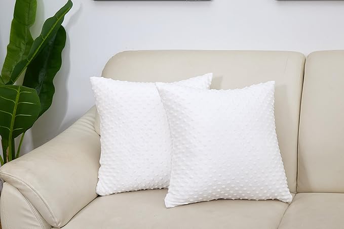 2 Packs Throw Pillow Covers, Neutral Decorative Couch Pillow Cover for Living Room Bed Sofa Rustic Farmhouse Boho Home Decor, Soft Plush Cushion Case Slipcover (White, 18"x 18")